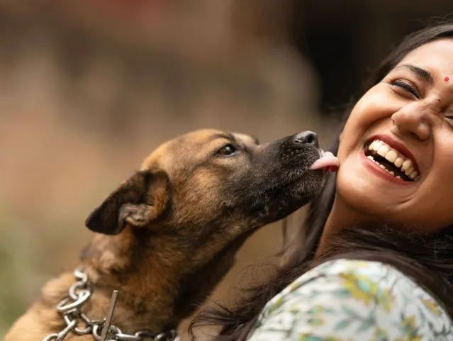 Why Do Dogs Lick People? The Real Reasons Behind This Common Behavior